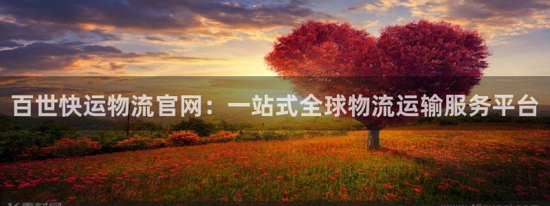 28圈百度百科：百世快运物流官网：一