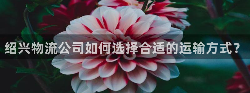 28圈正规吗