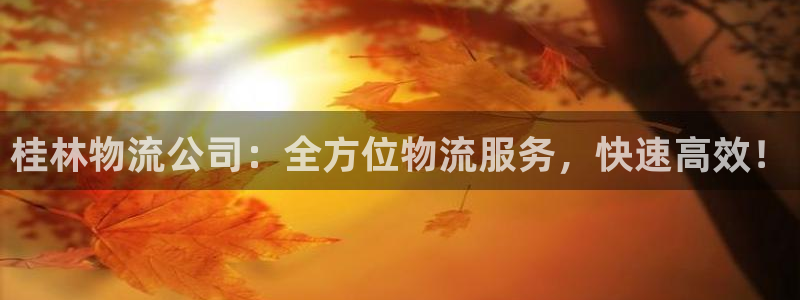 28圈登陆网