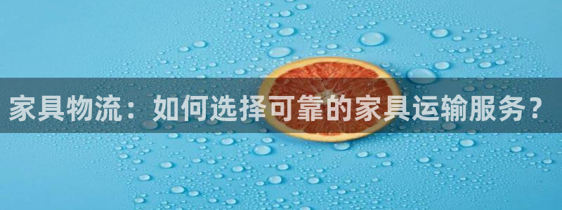 28圈体育下载