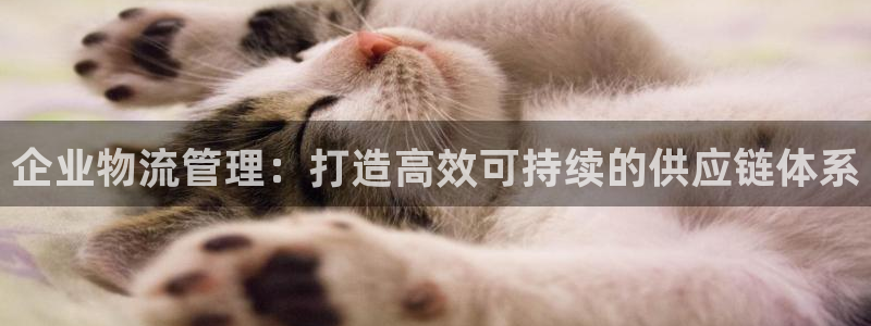 28圈是什么软件