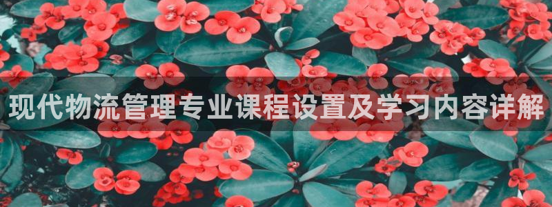 28圈加拿大开奖：现代物流管理专业课