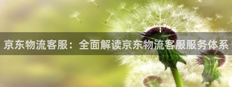 28圈注册登录