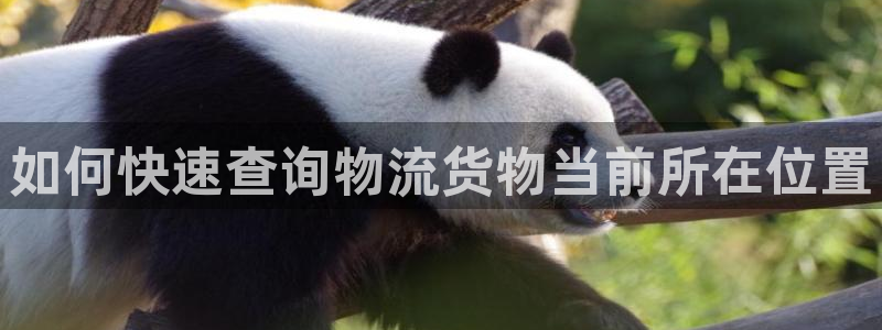 28圈充值方式