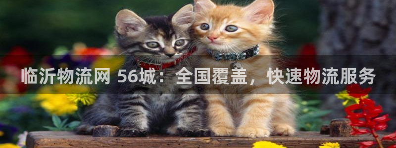 28圈反水怎么算