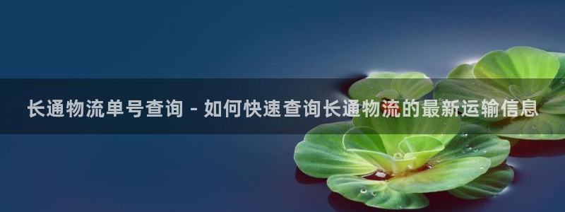 28圈充值不处理