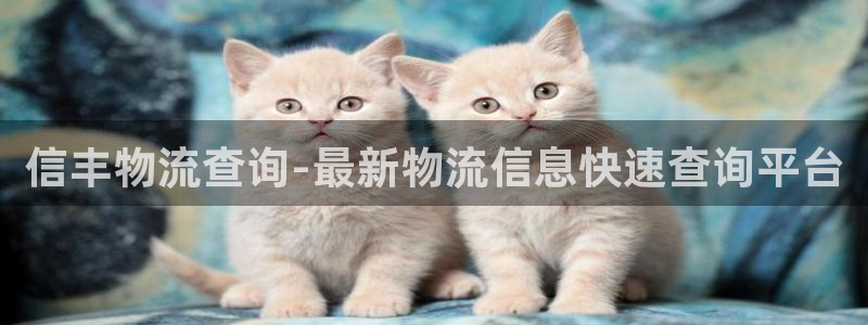 28圈返水怎么算的：信丰物流查询-最