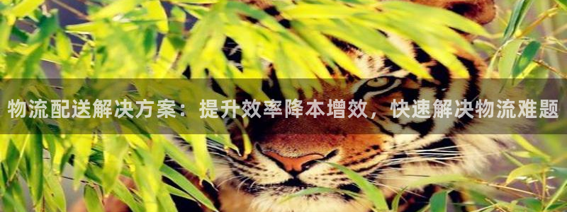 28圈加拿大预测