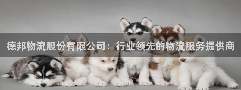 28圈注册网址百度知道