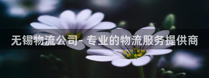 28圈的平台