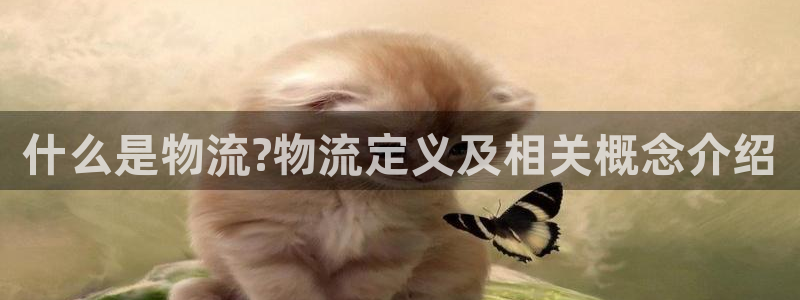 28圈登录不上咋回事