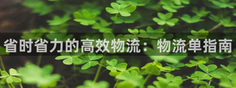 28圈正规吗?：省时省力的高效物流：