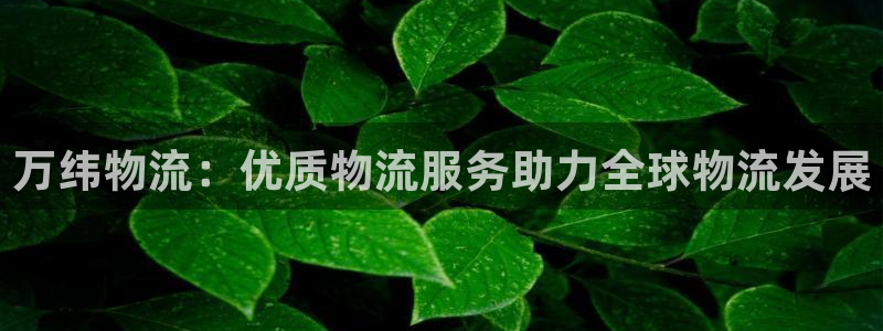 28圈网站怎么注册