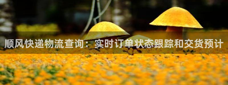 28圈昵称