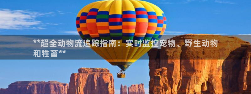 28圈客服一直不回消息怎么办