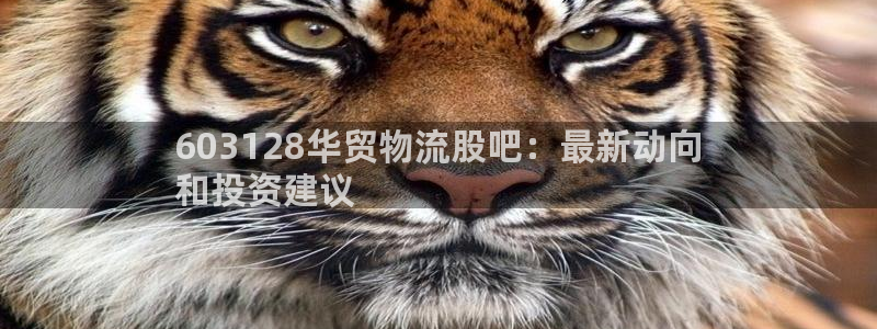 28圈加拿大最新版