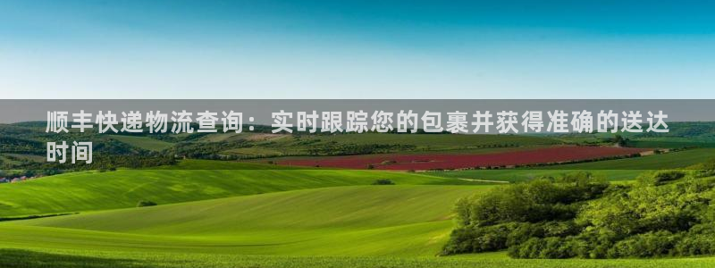28圈官方网站