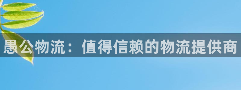 28圈二维码