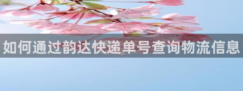 28圈百度百科