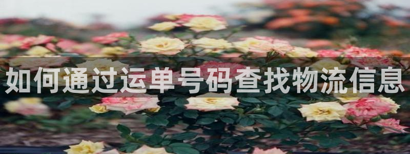 28圈app怎么注销