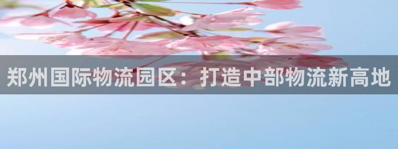 28圈入口问一问