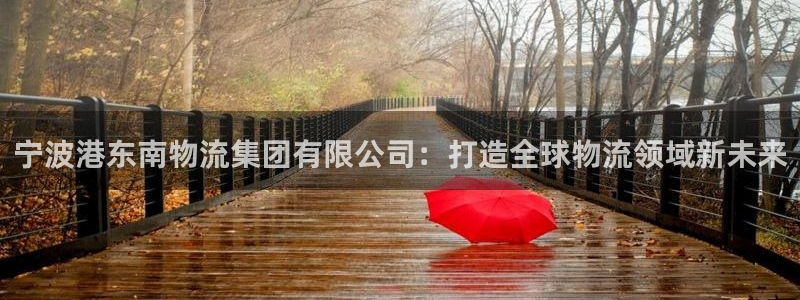 28圈龙虎