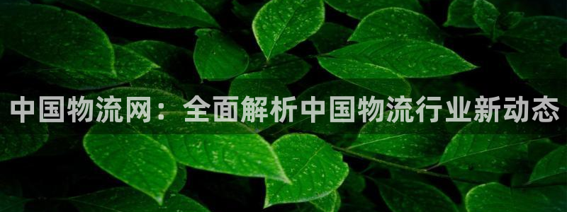 28圈注册网页版