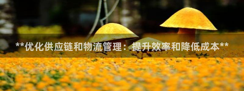 28圈新用户怎么注册：**优化供应链