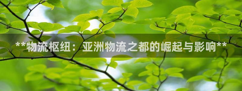 28圈口