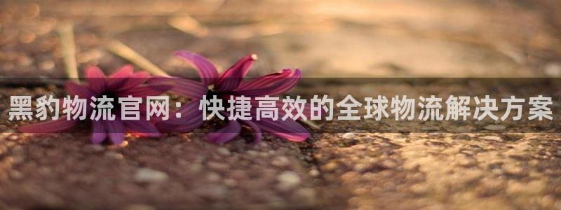 28圈.ccm南宫