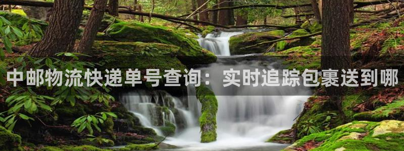 28圈里的财神