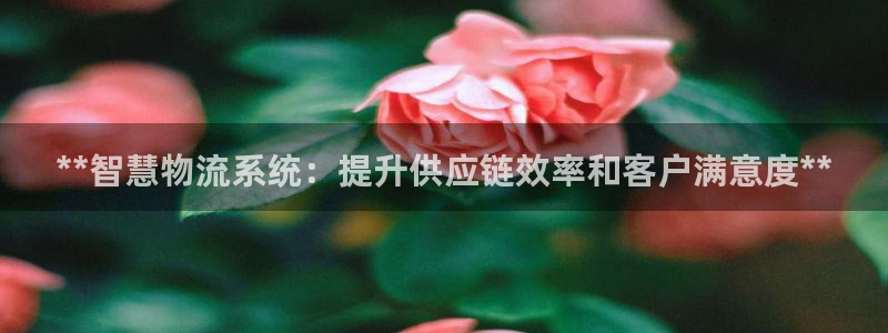 28圈如何注销账号