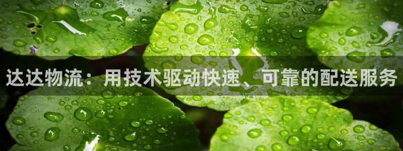 28圈注册网站APP
