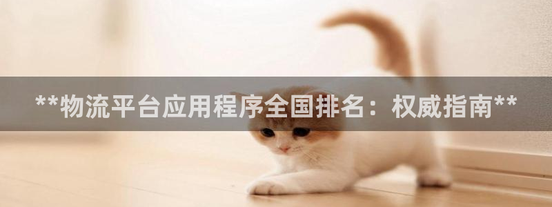 28圈反水