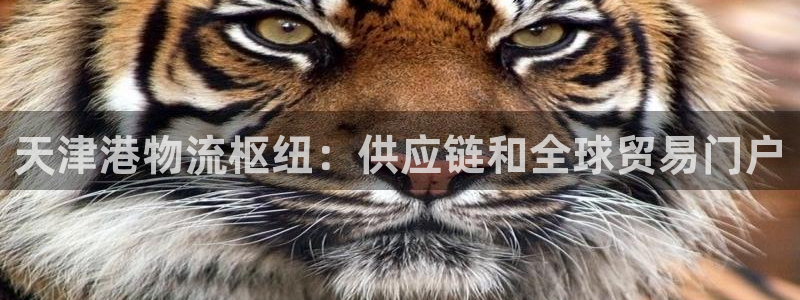 28圈注册网站多少