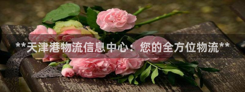 28圈注册登录流程：**天津港物流信