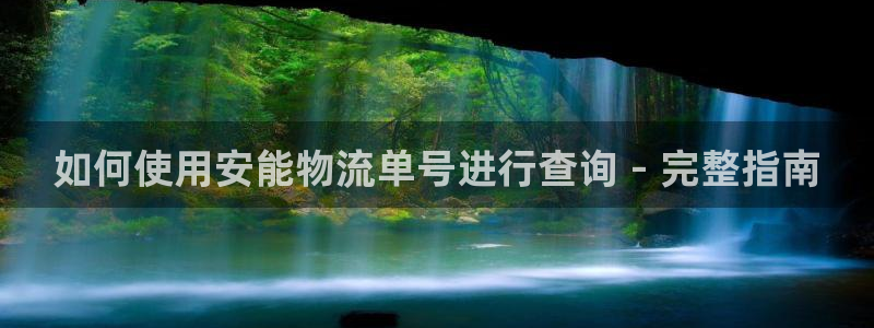 28圈登录：如何使用安能物流单号进行