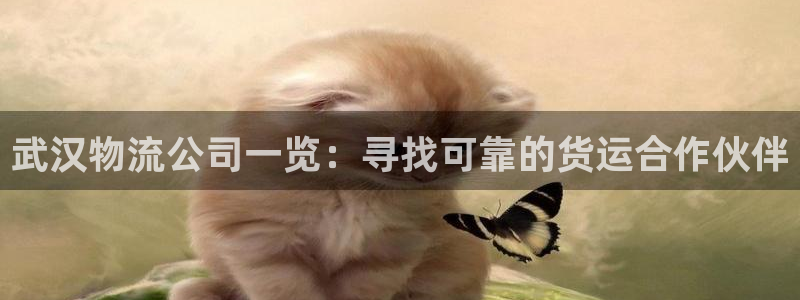 28圈赌博软件正规吗：武汉物流公司一