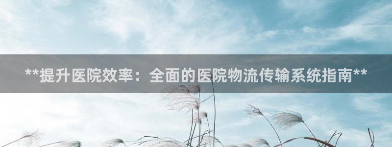 28圈下载体育