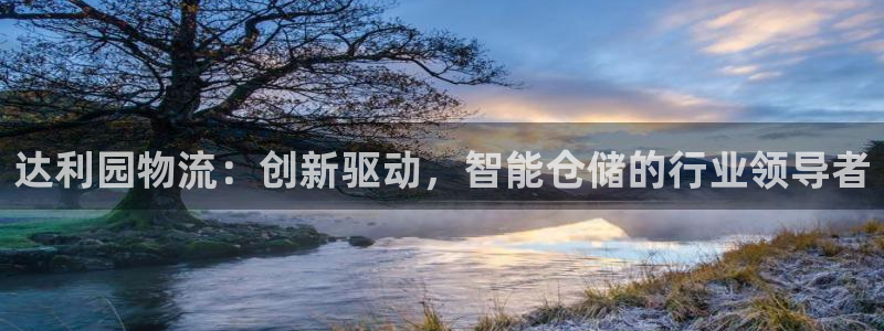 28圈在线预测