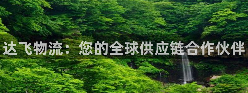 28圈黑钱：达飞物流：您的全球供应链