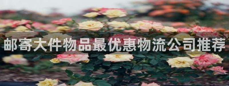28圈初始资金密码在哪里改