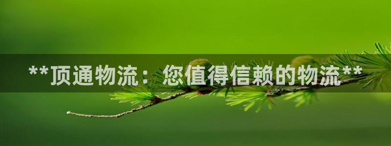 28圈取保：**顶通物流：您值得信赖