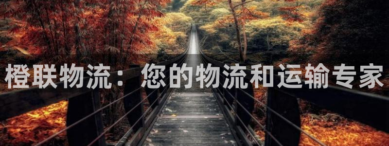 28圈v6能卖多少：橙联物流：您的物