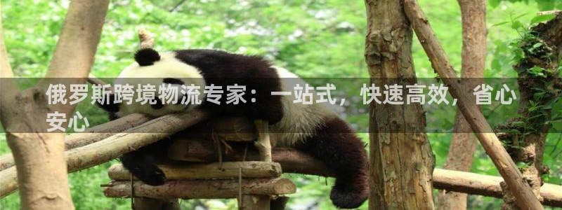 28圈违法吗