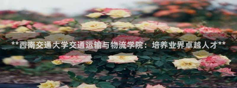 28圈注册教程：**西南交通大学交通