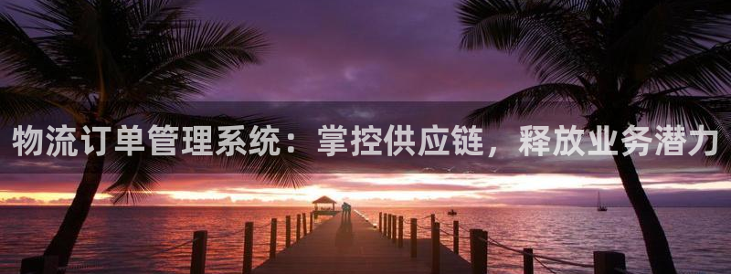 28圈正规吗?：物流订单管理系统：掌