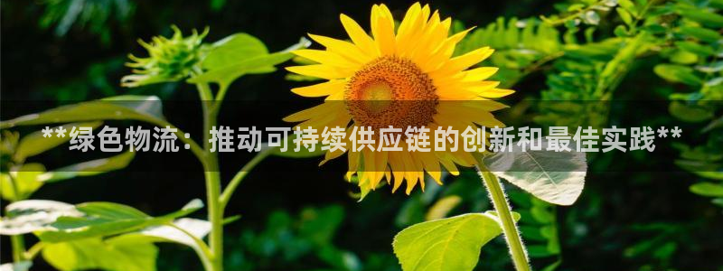 28圈注册条件：**绿色物流：推动可