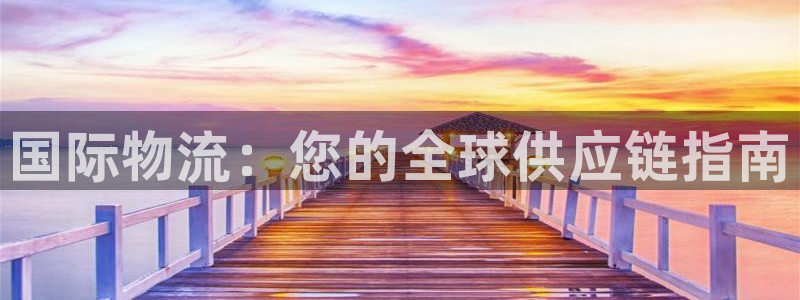 28圈加拿大最新版