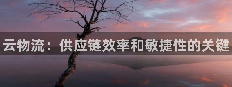 28圈.ccm2024：云物流：供应